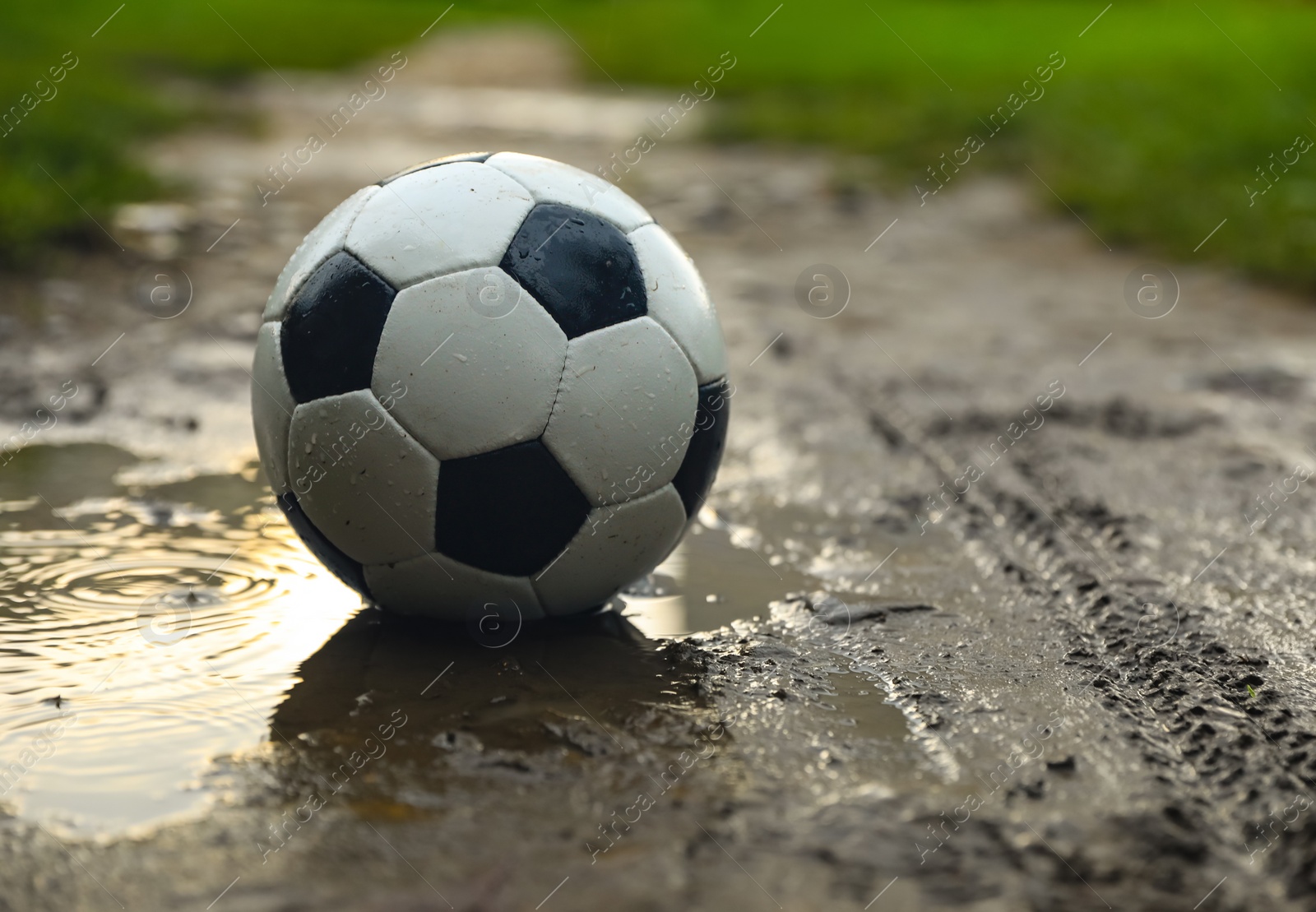 Photo of Leather soccer ball in puddle outdoors, space for text