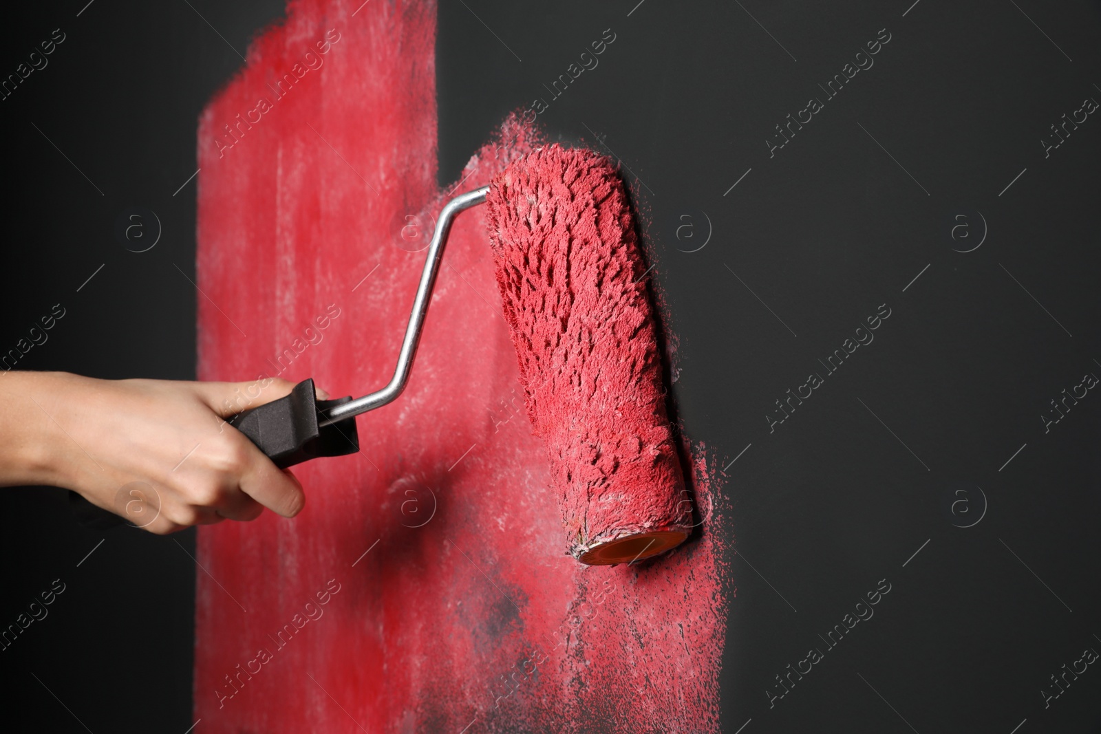 Photo of Woman painting grey wall with pink dye, closeup