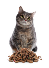 Image of Cute gray tabby cat and pile of dry food on white background. Lovely pet