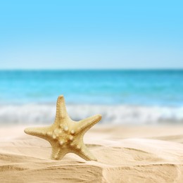 Image of Beautiful sea star on sandy beach near ocean 