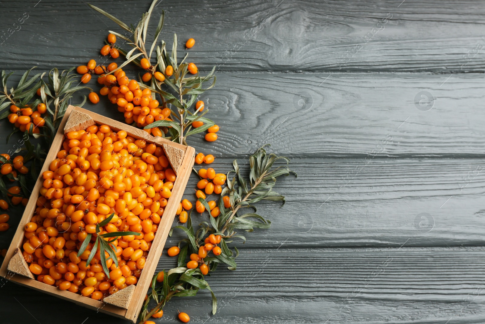 Photo of Ripe sea buckthorn berries on grey wooden table, flat lay. Space for text