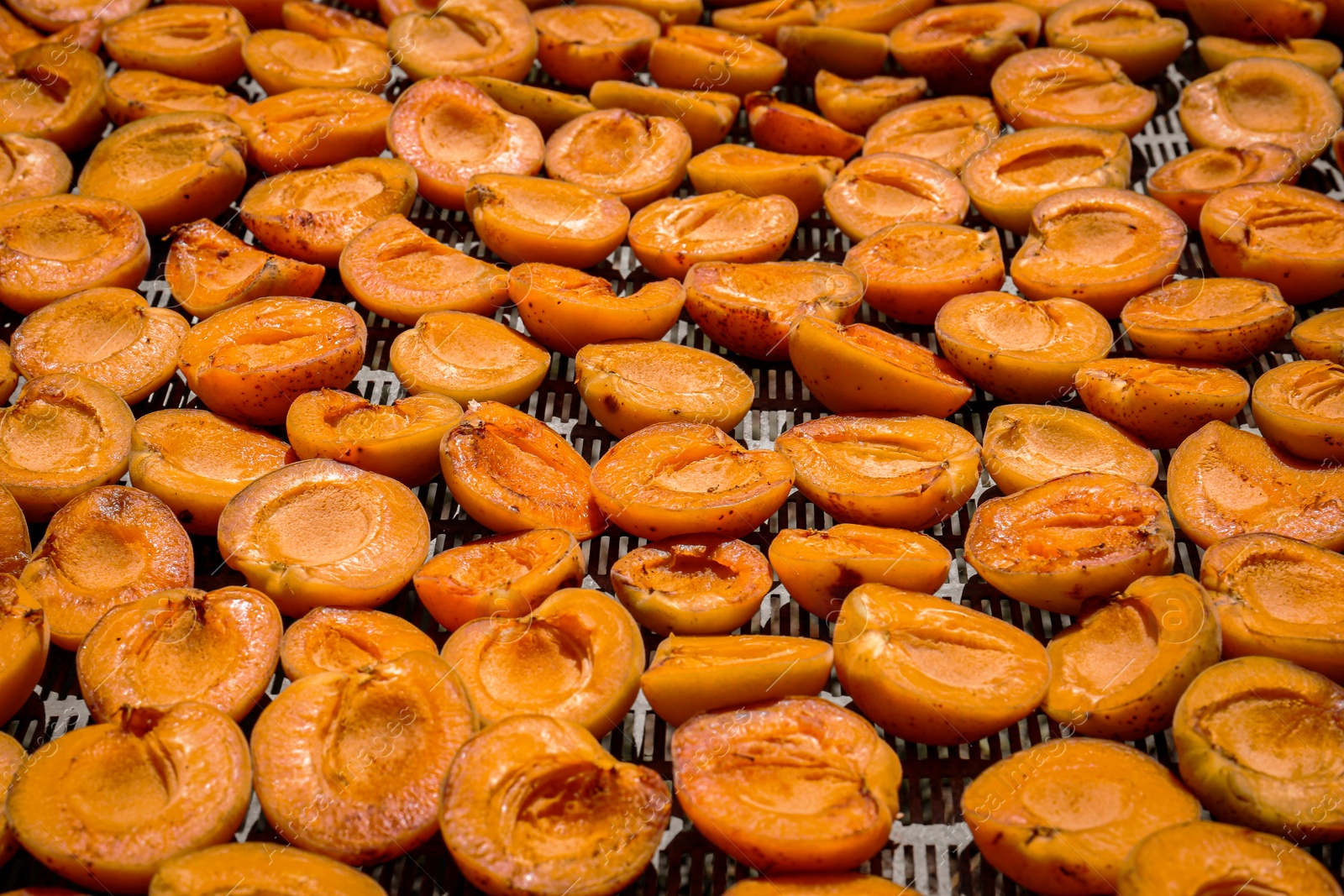 Photo of Many halved apricots on metal drying rack