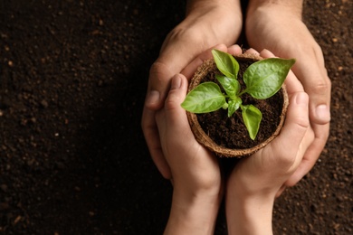 Man and woman holding pot with seedling on soil, top view. Space for text