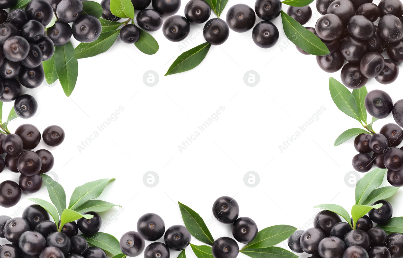 Image of Frame of fresh acai berries with green leaves on white background