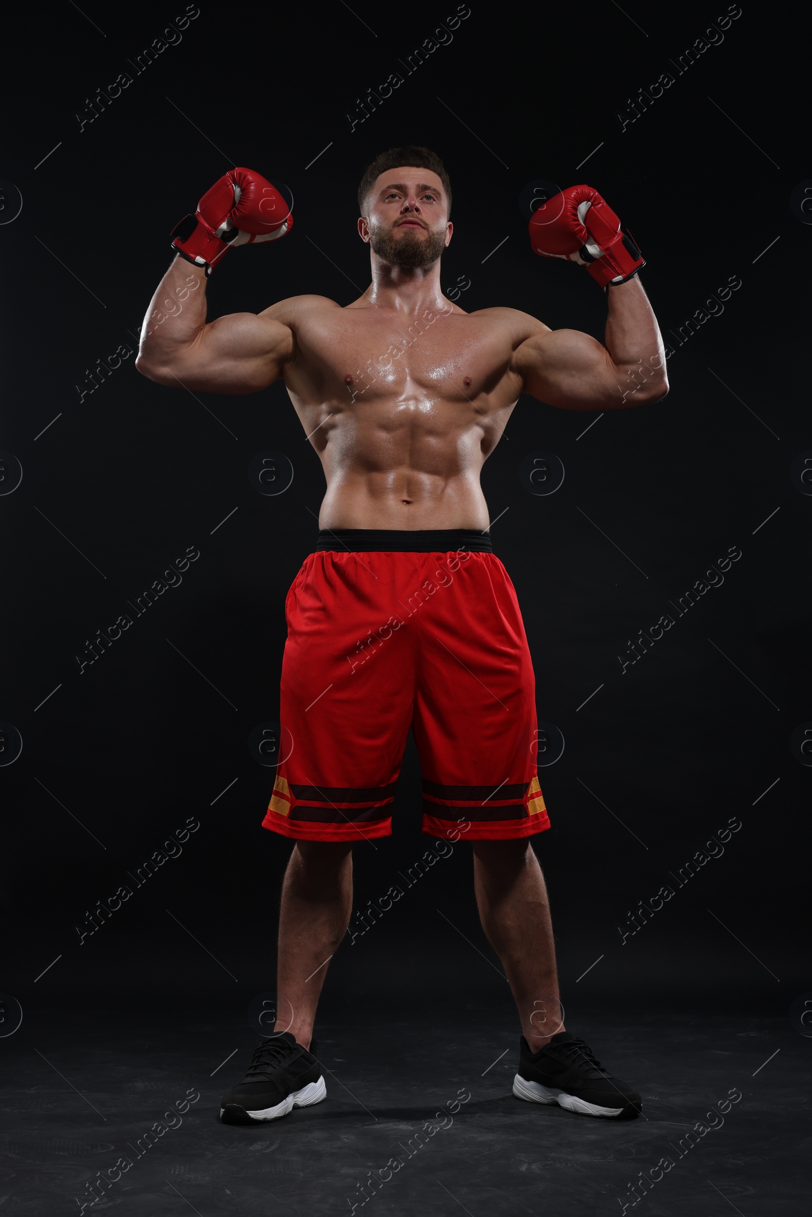 Photo of Man in boxing gloves celebrating victory on black background, low angle view