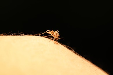 Photo of Insect repellent concept. Closeup view of mosquito on skin against black background