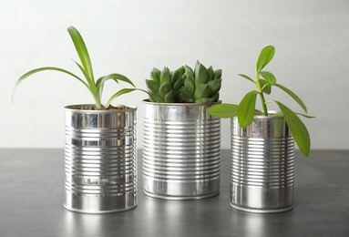 Beautiful houseplants in tin cans on grey stone table