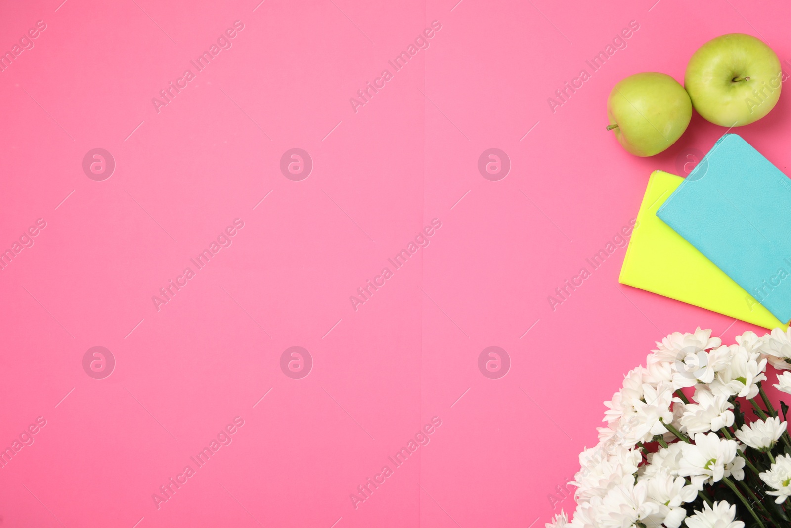 Photo of White chrysanthemum flowers, notebooks and apples on pink background, flat lay with space for text. Teacher's day