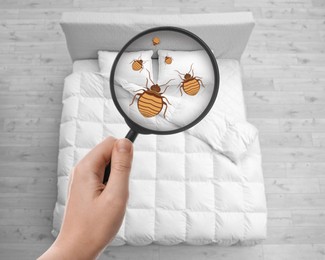 Image of Woman with magnifying glass detecting bed bugs in bedroom, top view