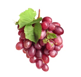 Photo of Bunch of red fresh ripe juicy grapes isolated on white