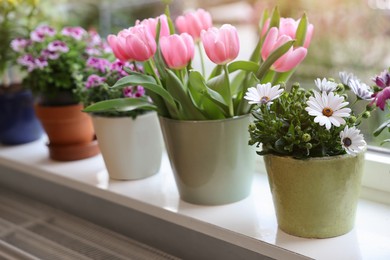 Photo of Many beautiful blooming potted plants on windowsill indoors