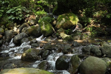 Picturesque view of mountain stream, stones and green plants in forest