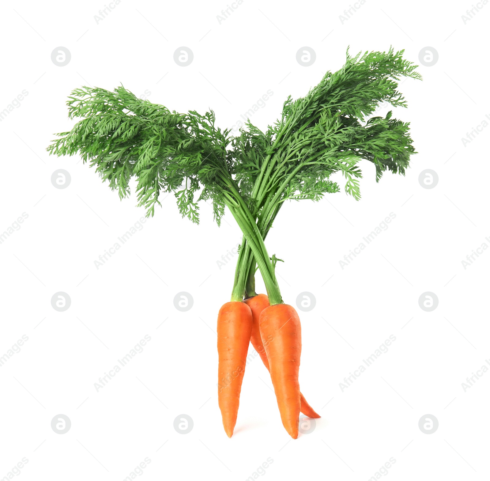 Photo of Fresh ripe juicy carrots isolated on white