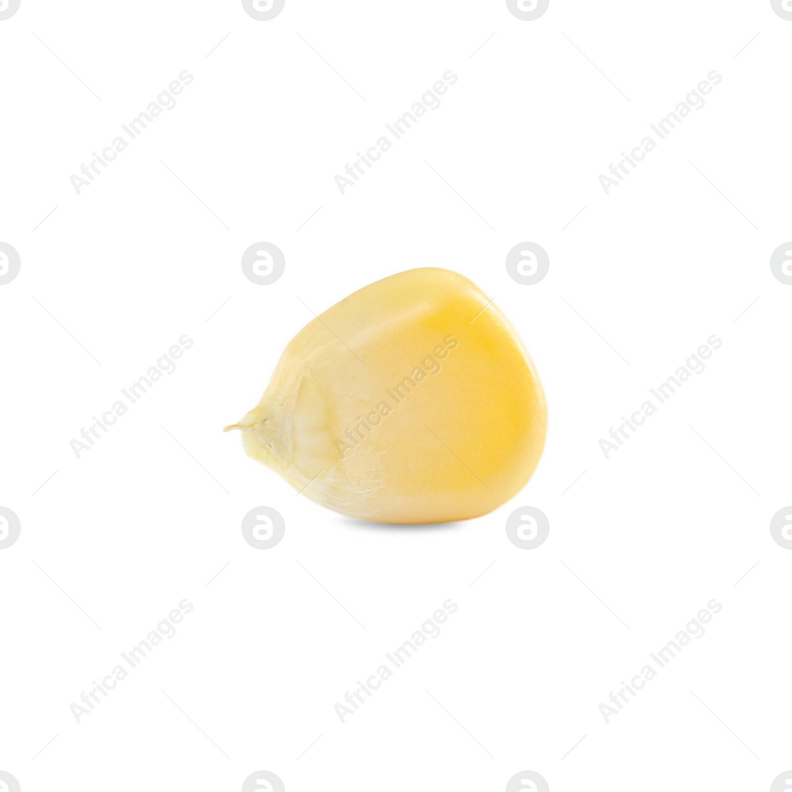 Photo of Tasty fresh corn kernel isolated on white