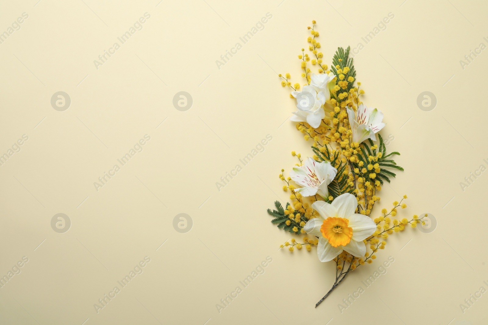 Photo of Beautiful floral composition with mimosa flowers on beige background, flat lay. Space for text