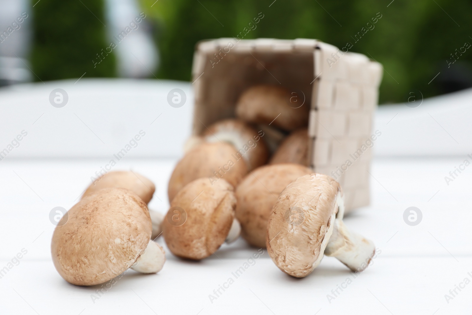 Photo of Overturned basket with fresh champignon mushrooms on white table outdoors, closeup