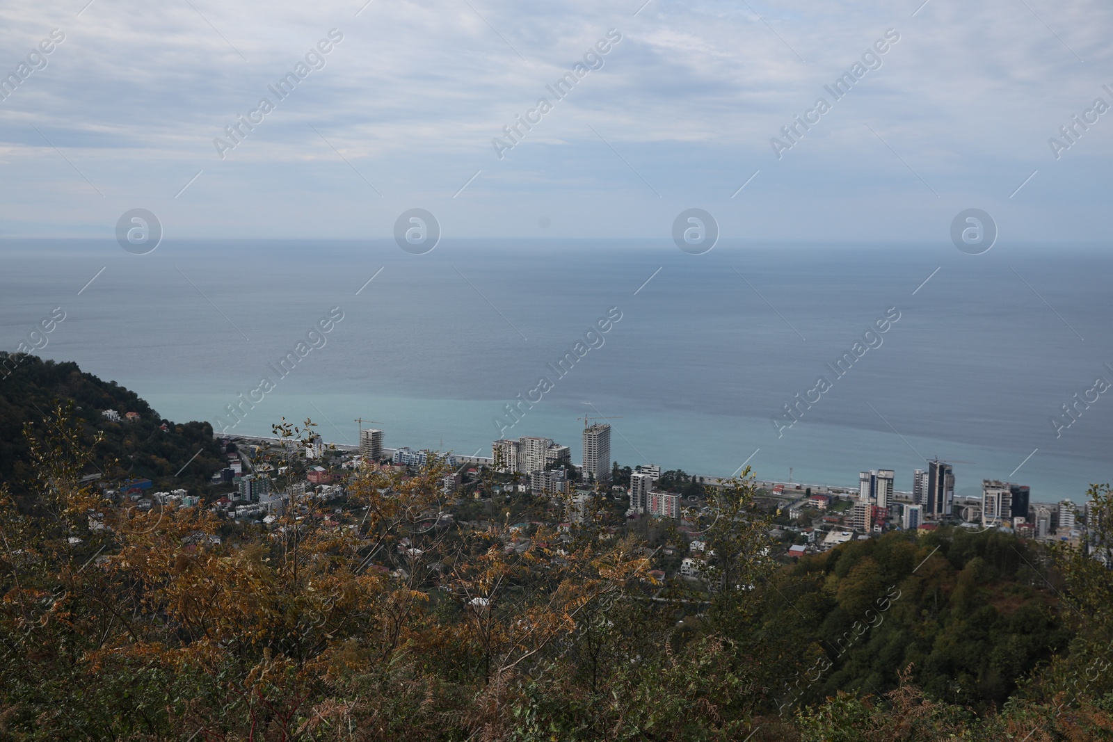 Photo of Picturesque view of city, green trees and sea under blue sky