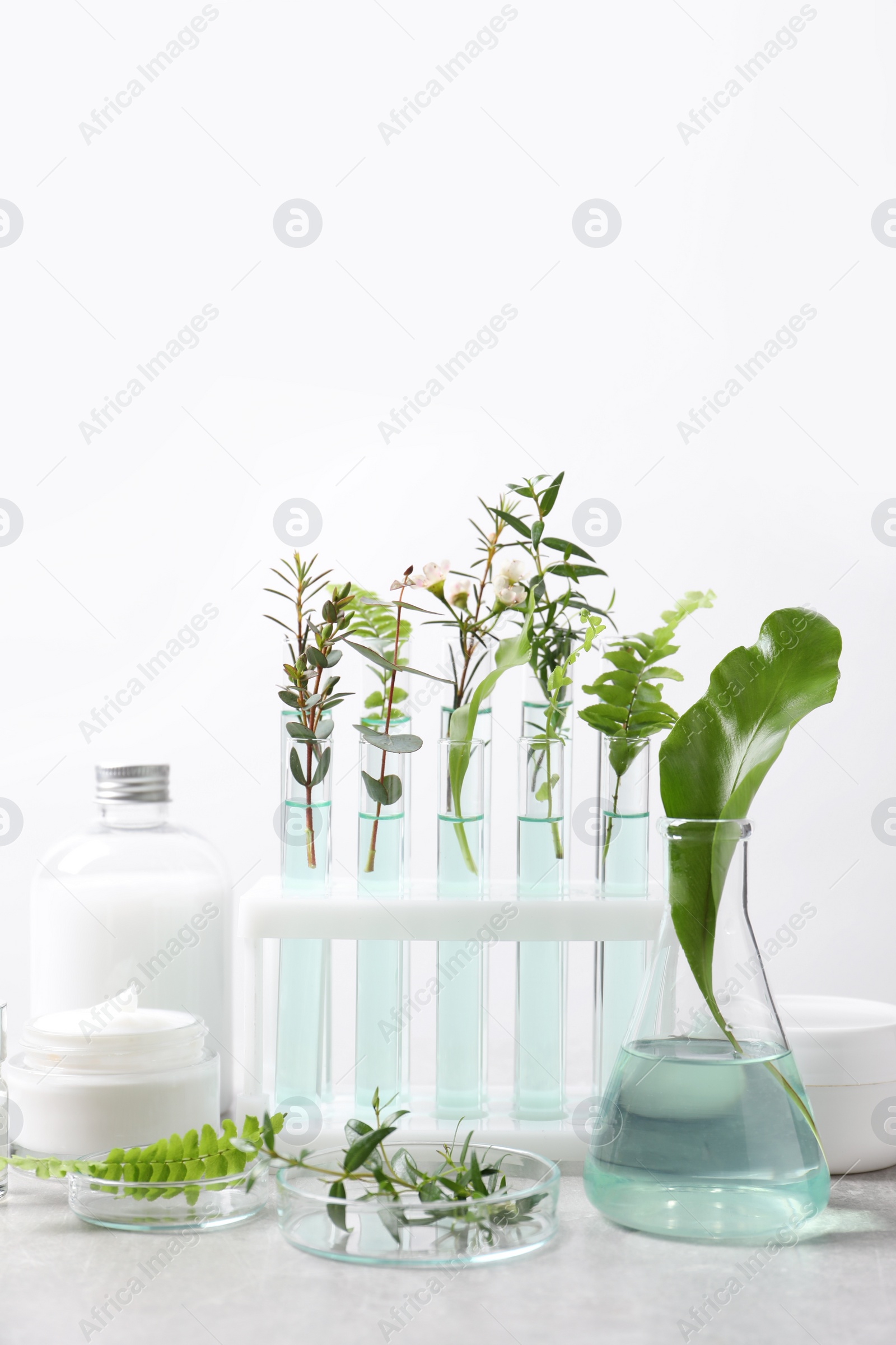 Photo of Natural ingredients and laboratory glassware for organic cosmetic product on white table