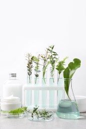 Natural ingredients and laboratory glassware for organic cosmetic product on white table