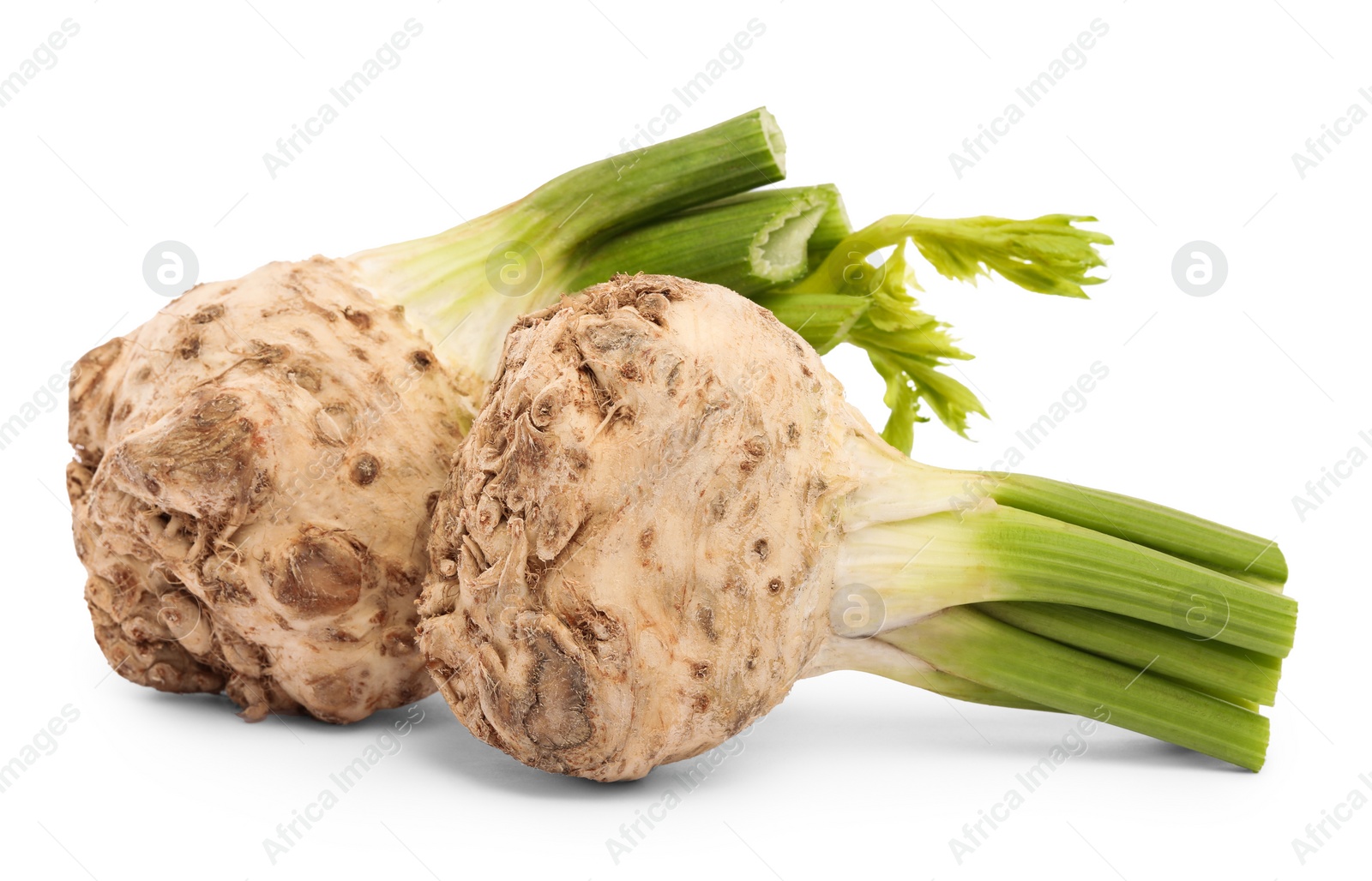 Photo of Fresh raw celery roots isolated on white