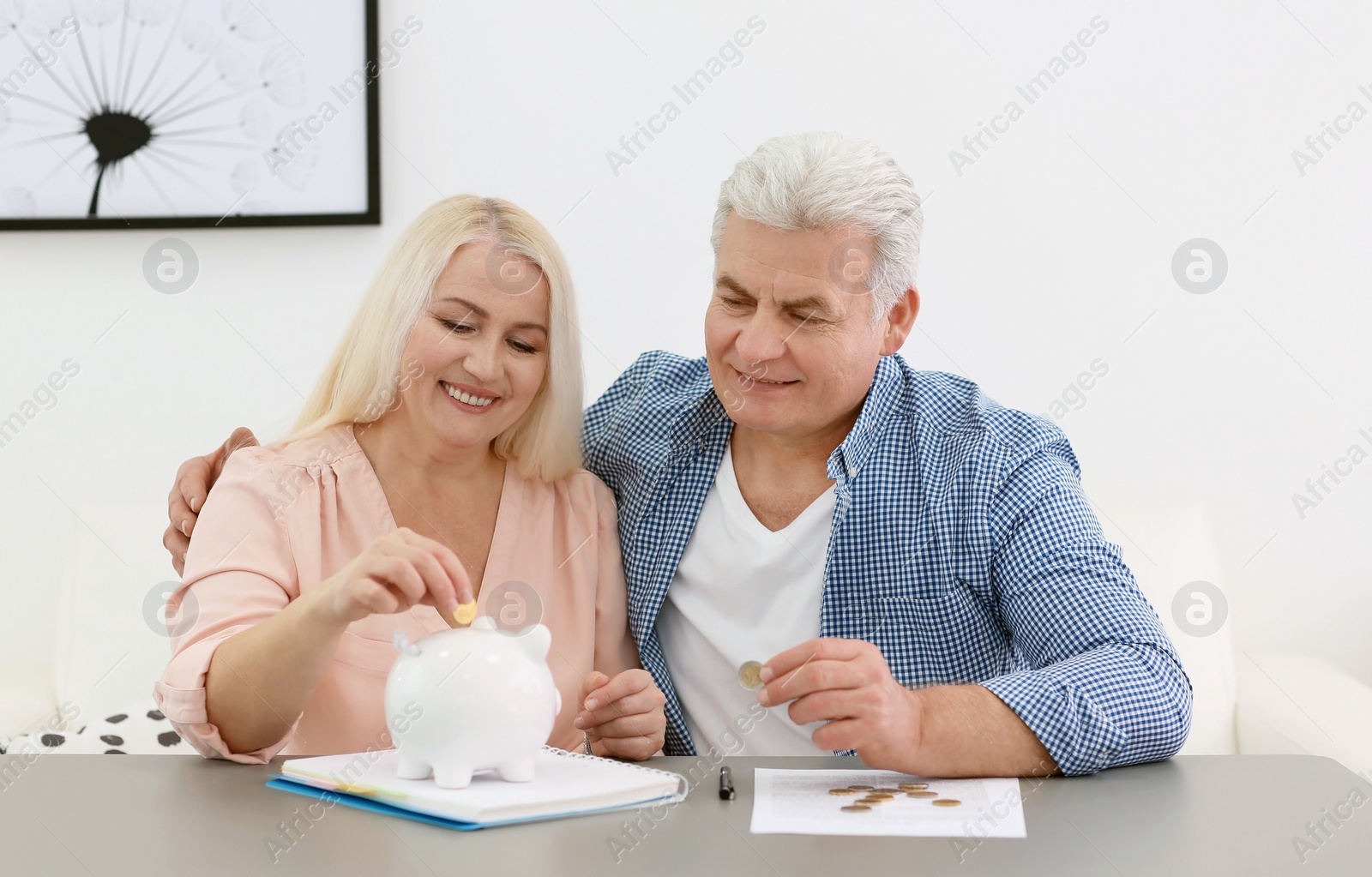 Photo of Mature couple thinking over pension payment at home