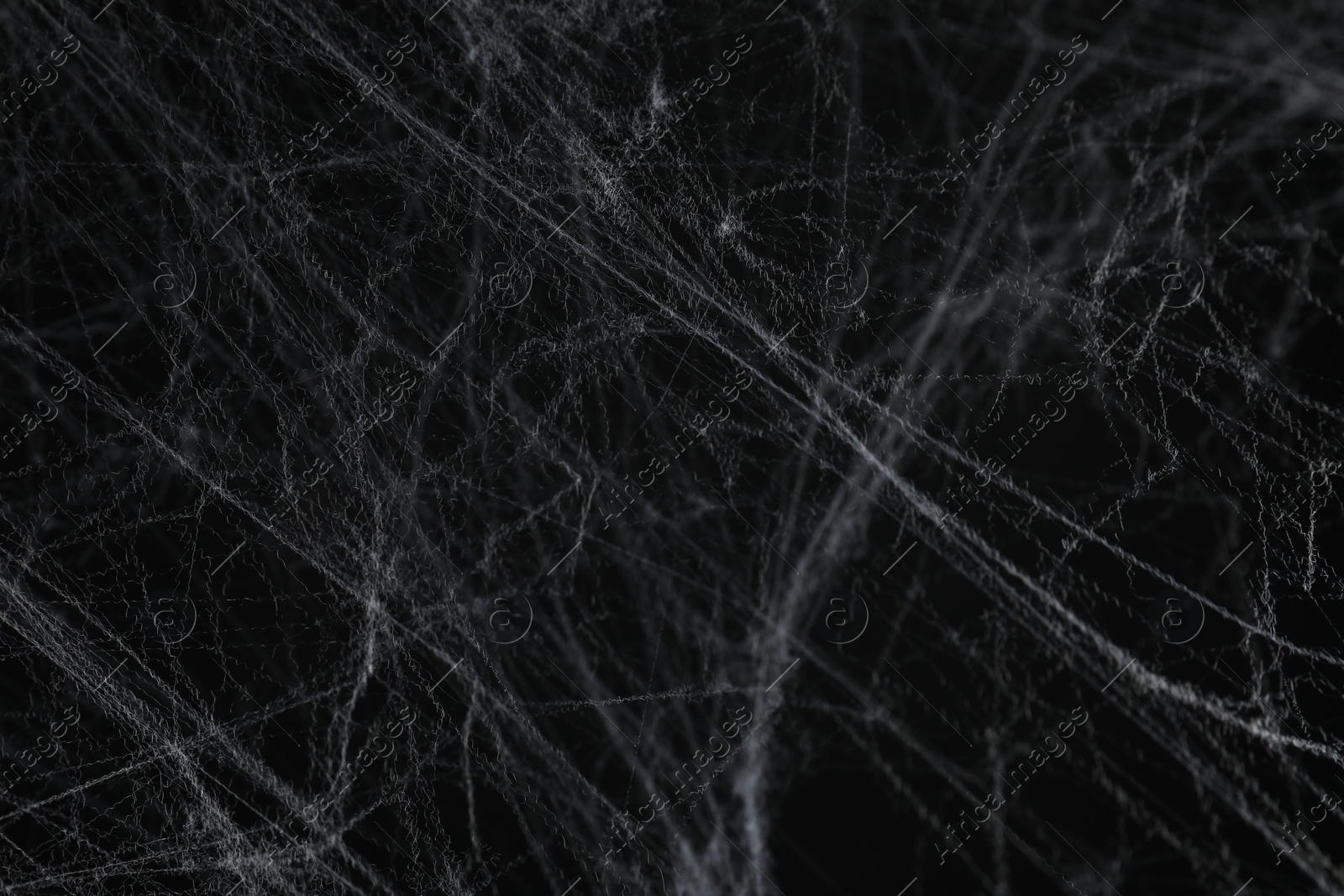 Photo of Creepy white cobweb on black background, closeup