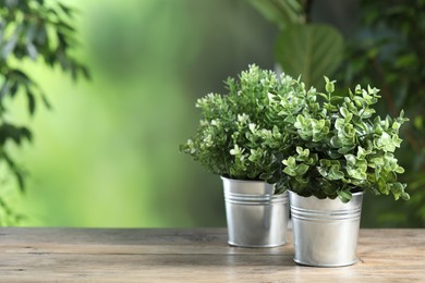 Aromatic oregano and thyme growing in pots on wooden table outdoors, space for text