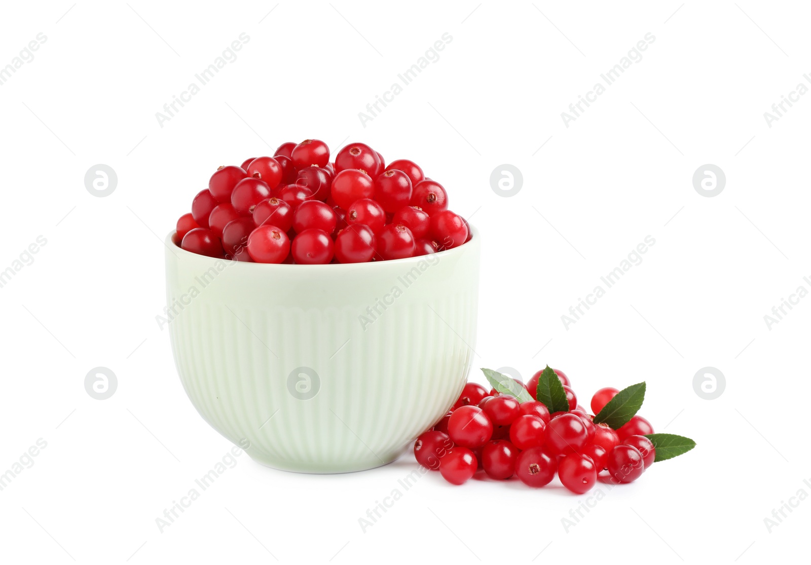 Photo of Fresh ripe cranberries with leaves on white background