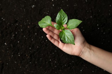 Photo of Woman holding green pepper seedling over soil, top view. Space for text