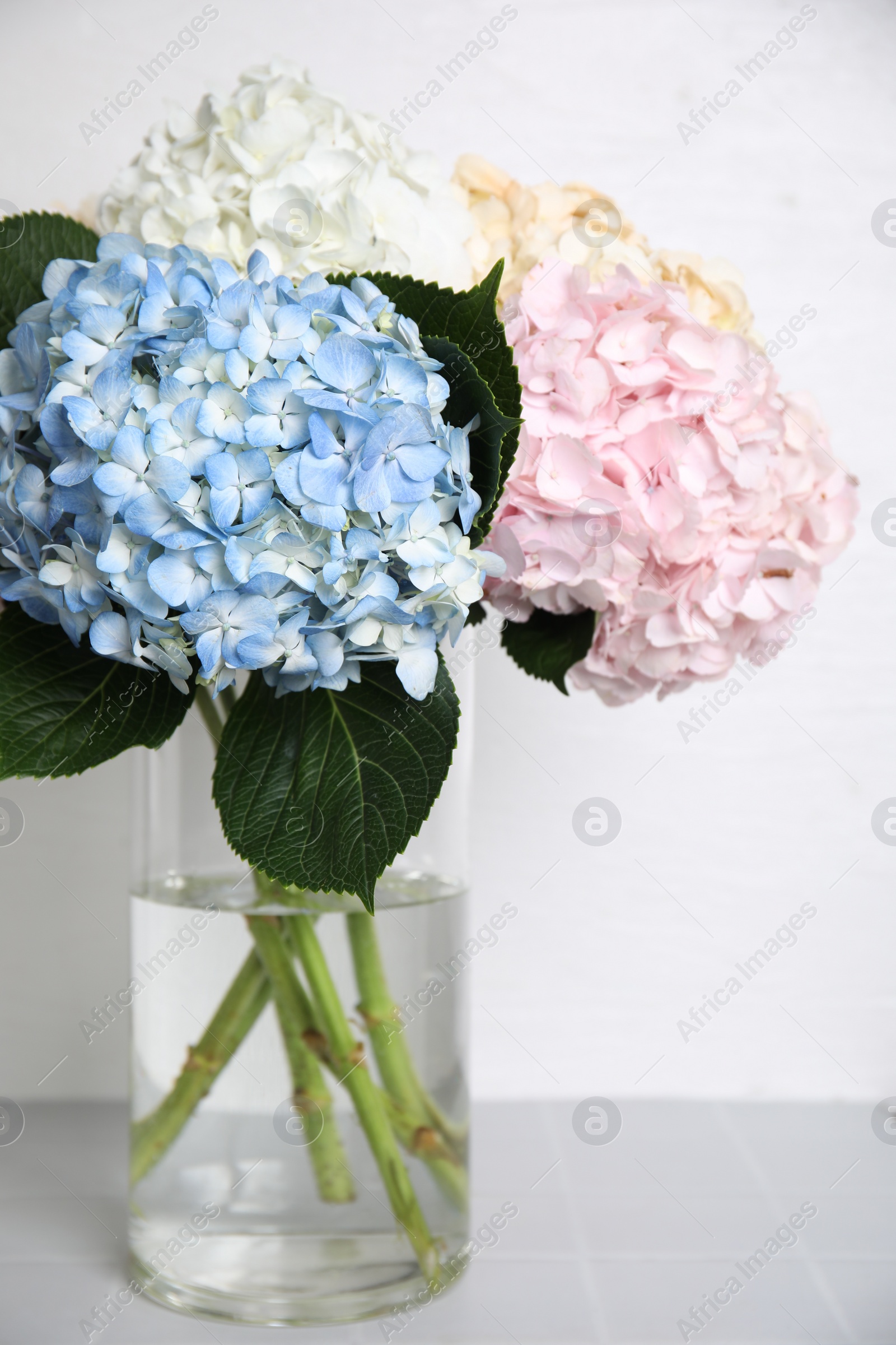 Photo of Beautiful hydrangea flowers in vase on light tiled table near white wall