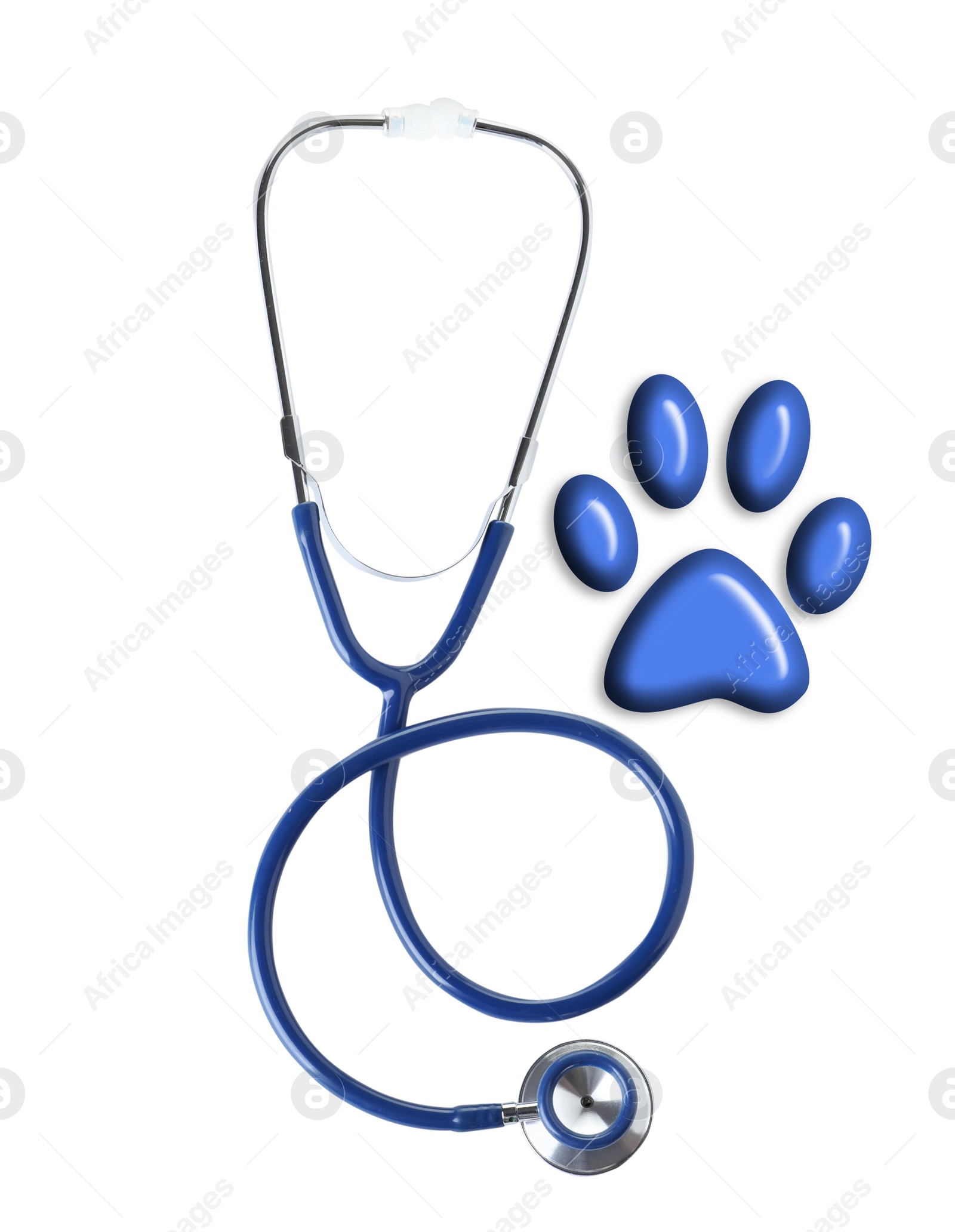 Image of Stethoscope and animal paw on white background, top view