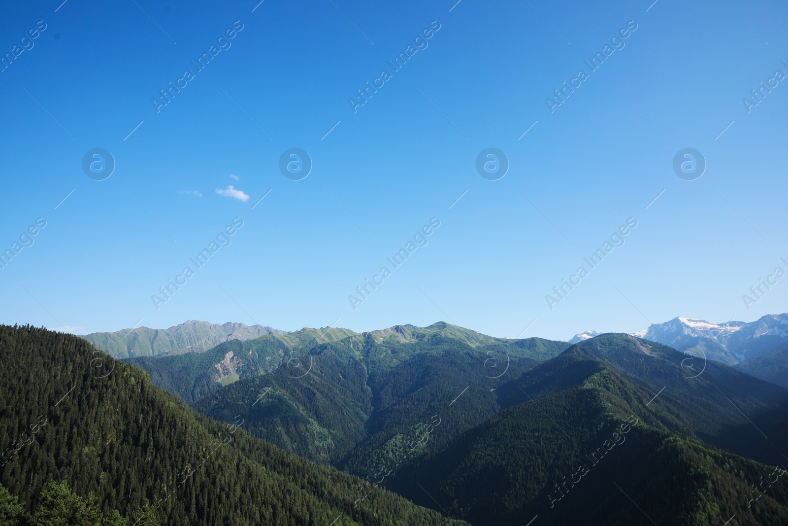 Photo of Aerial view of beautiful landscape with mountain forest on sunny day