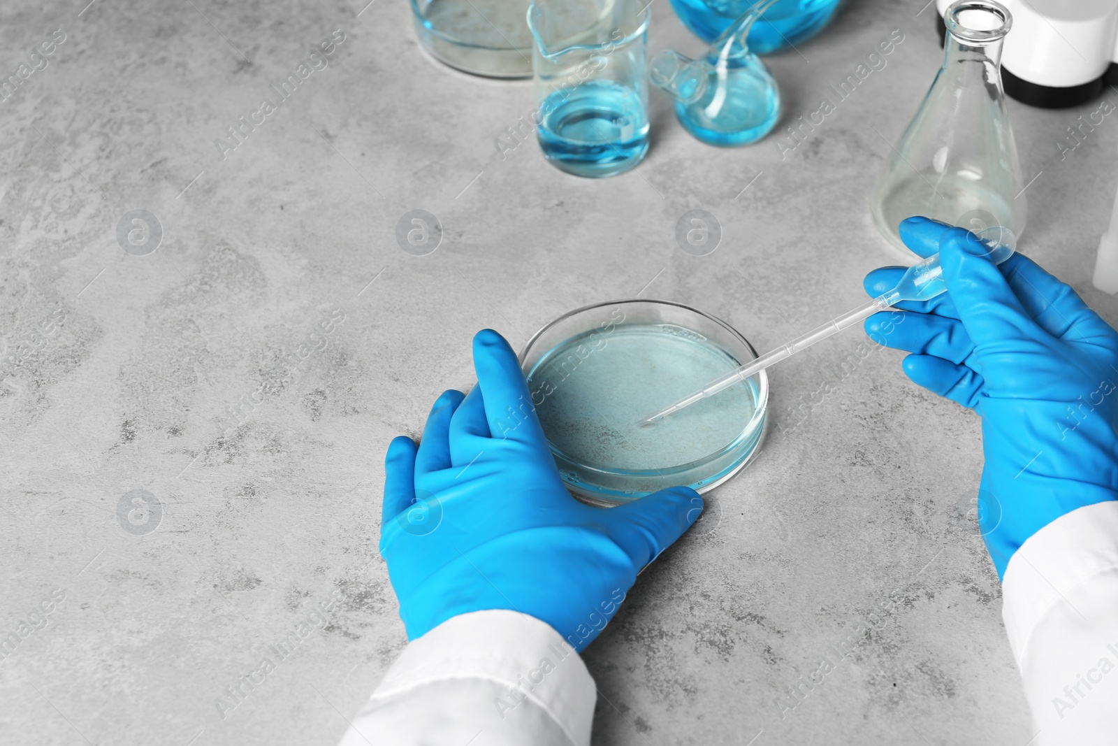 Photo of Scientist working with Petri dish and pipette at table, above view with Space for text. Solution chemistry