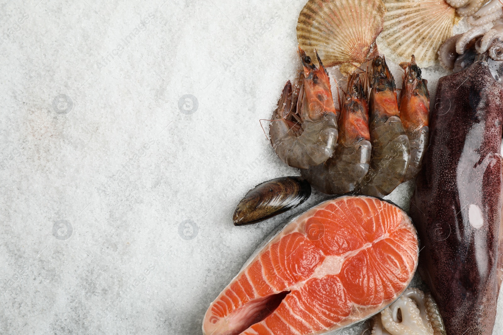 Photo of Fresh fish and seafood on ice, flat lay. Space for text