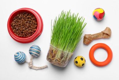 Flat lay composition with pet toys and food on white background