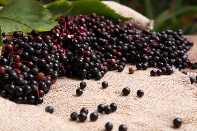 Photo of Tasty elderberries (Sambucus) on sack cloth, closeup