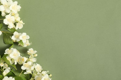 Photo of Beautiful jasmine flowers and leaves on pale green background, flat lay. Space for text