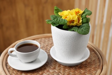 Photo of Beautiful primrose plant in flower pot and cup of coffee on wooden table indoors