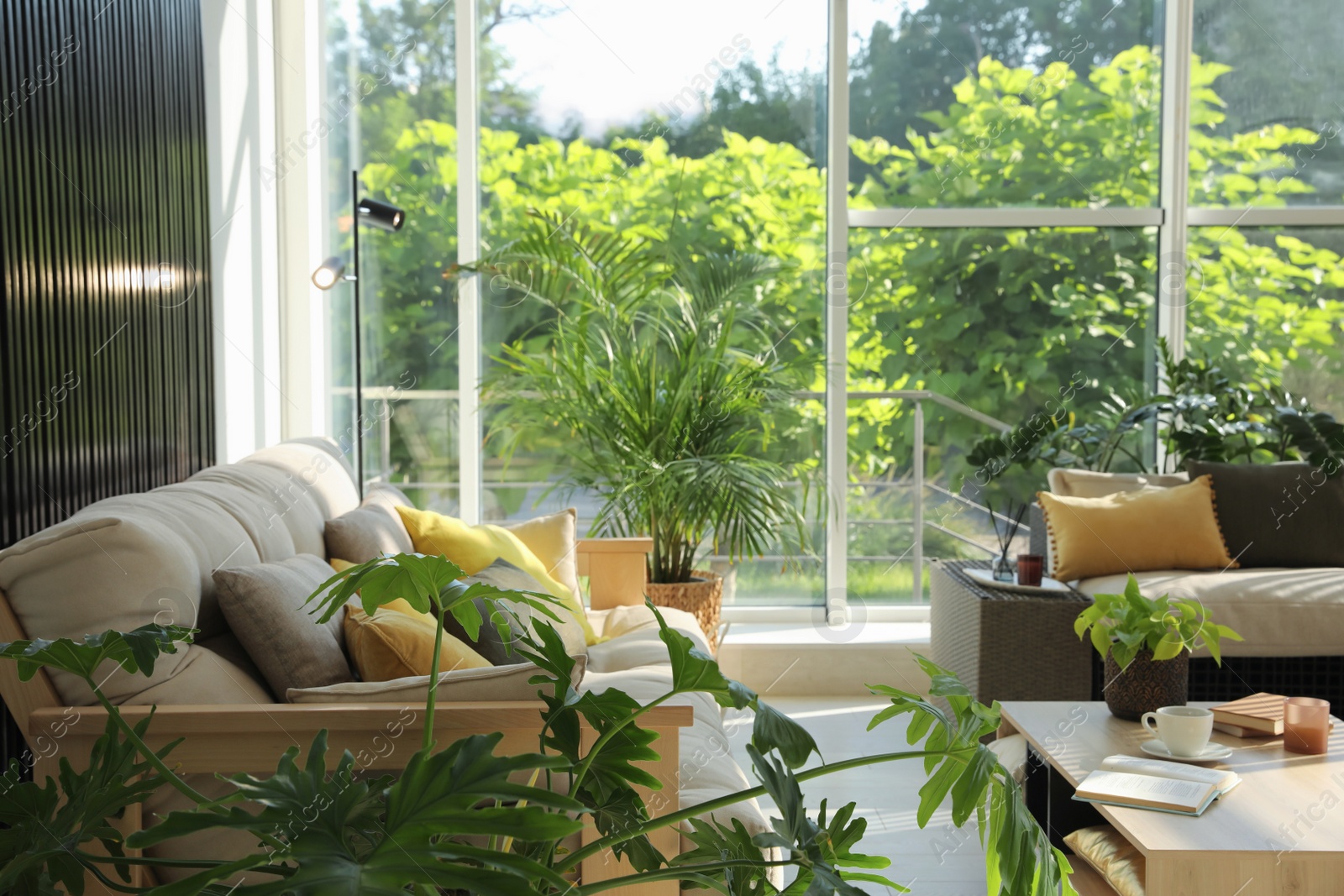 Photo of Indoor terrace interior with modern furniture and houseplants