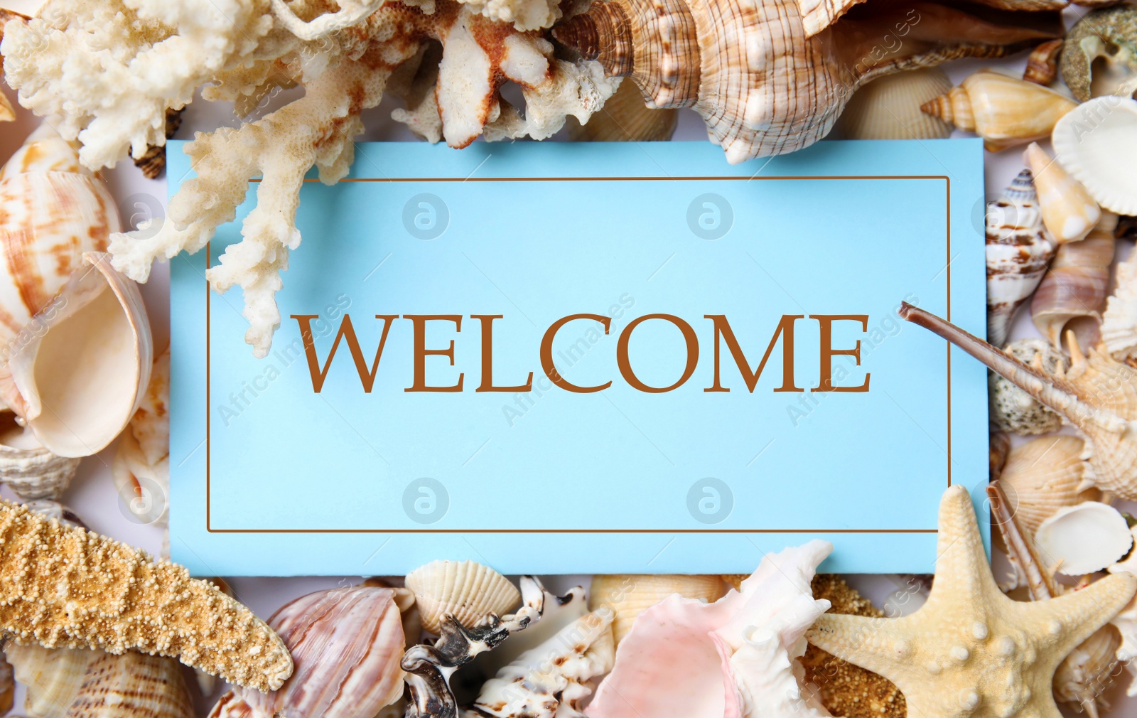 Image of Different beautiful sea shells and card with word WELCOME, flat lay