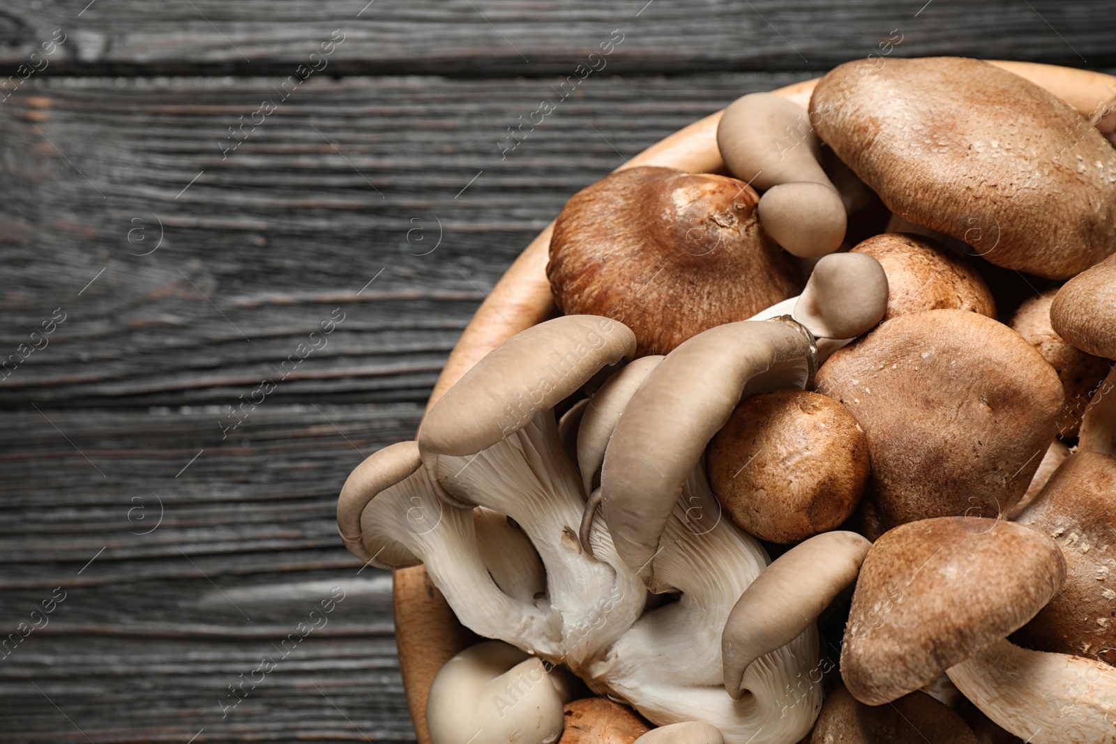 Photo of Different fresh wild mushrooms in bowl on wooden table, above view