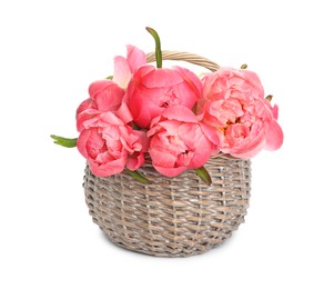Photo of Wicker basket with beautiful pink peonies on white background