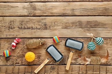 Photo of Cat's accessories on wooden background