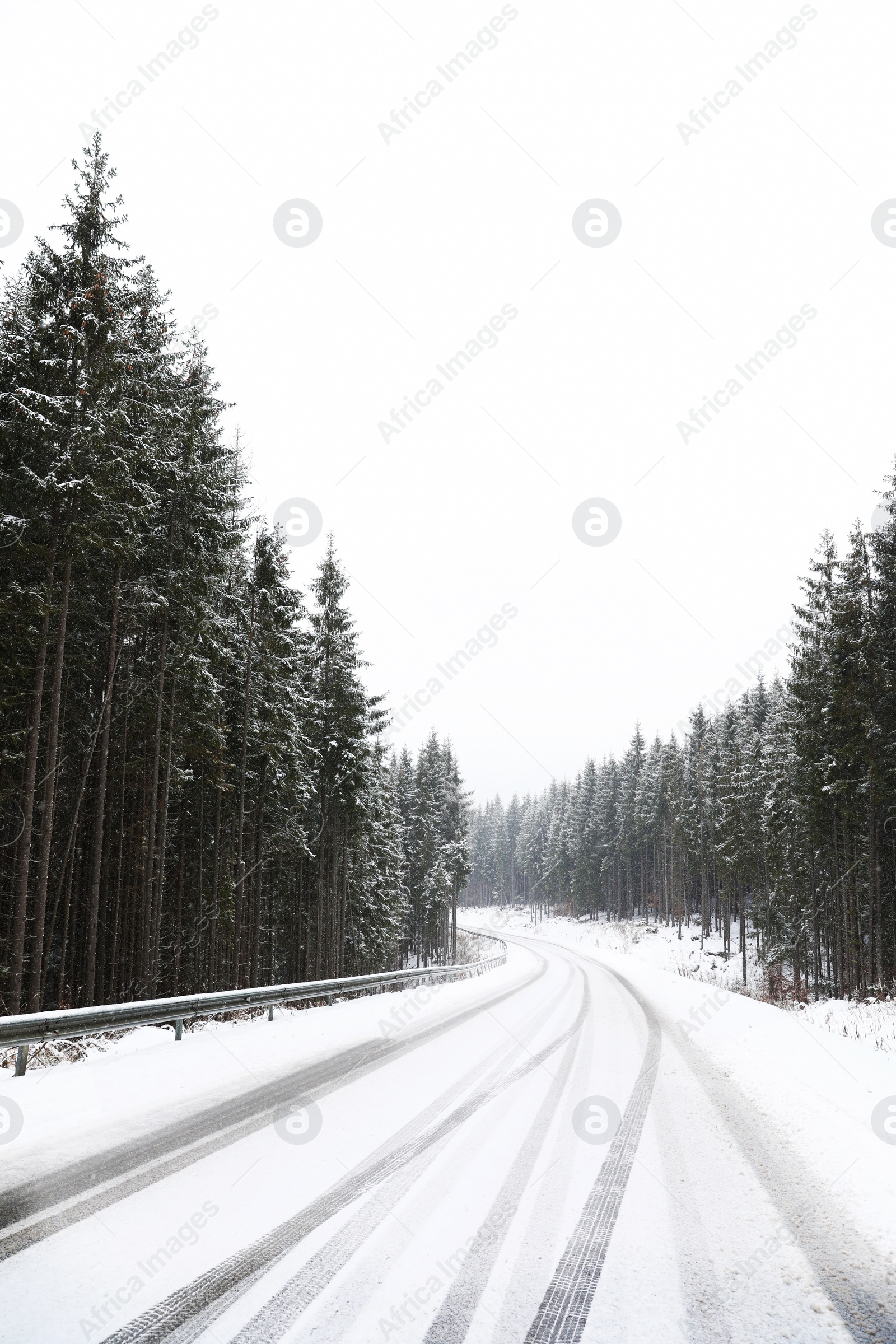 Photo of Beautiful landscape with conifer forest and road on snowy winter day