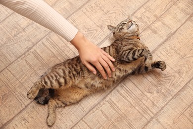 Photo of Woman stroking beautiful cat on wooden floor, above view