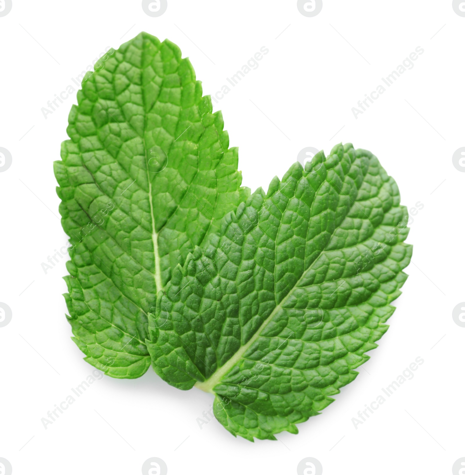 Photo of Fresh green mint leaves isolated on white, top view