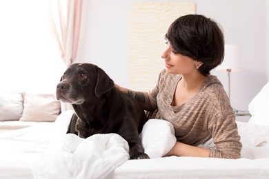 Photo of Adorable brown labrador retriever with owner on bed indoors