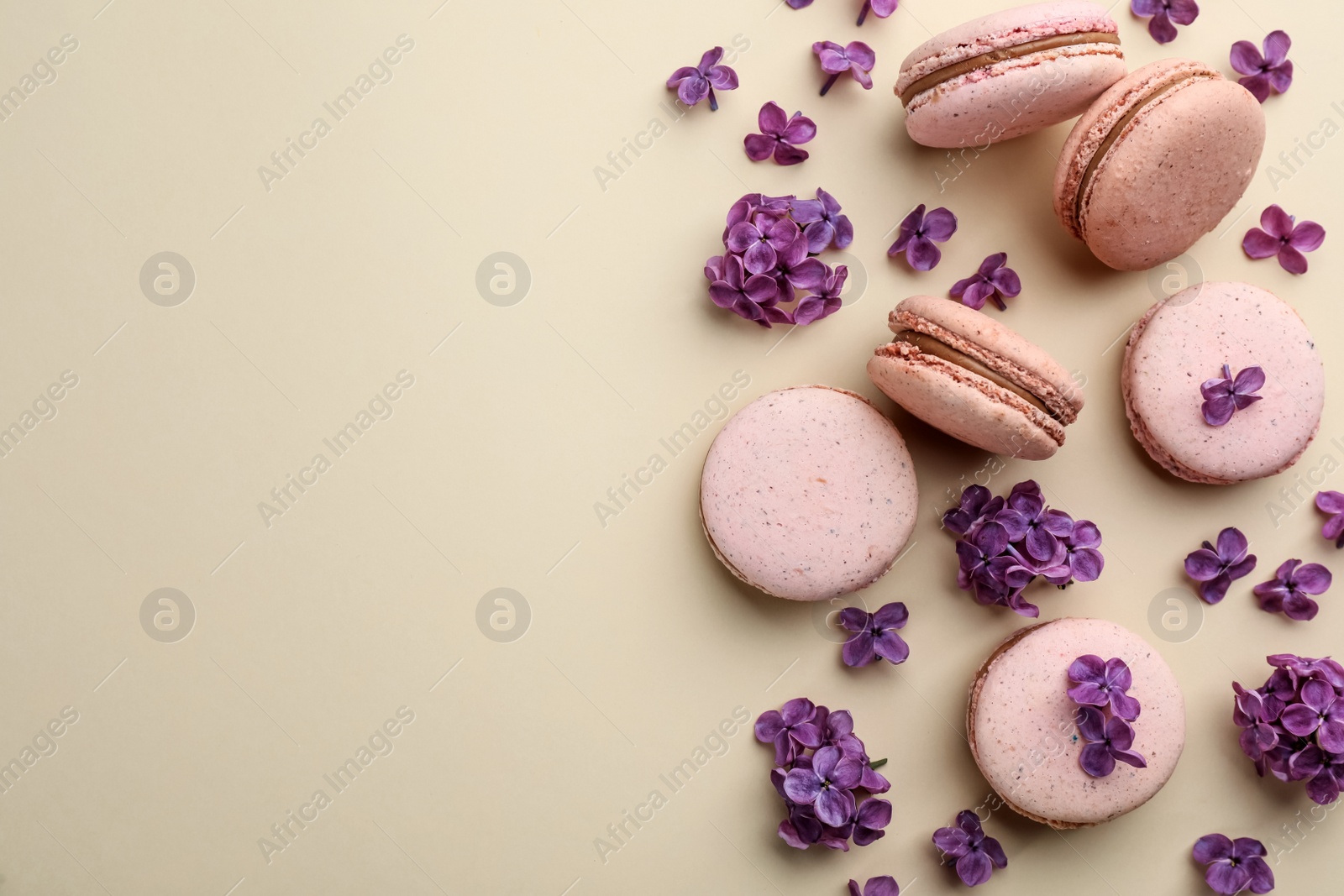 Photo of Flat lay composition with macarons and lilac flowers on beige background. Space for text