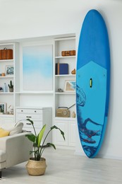 Photo of SUP board, shelving unit with different decor elements and houseplant in room. Interior design
