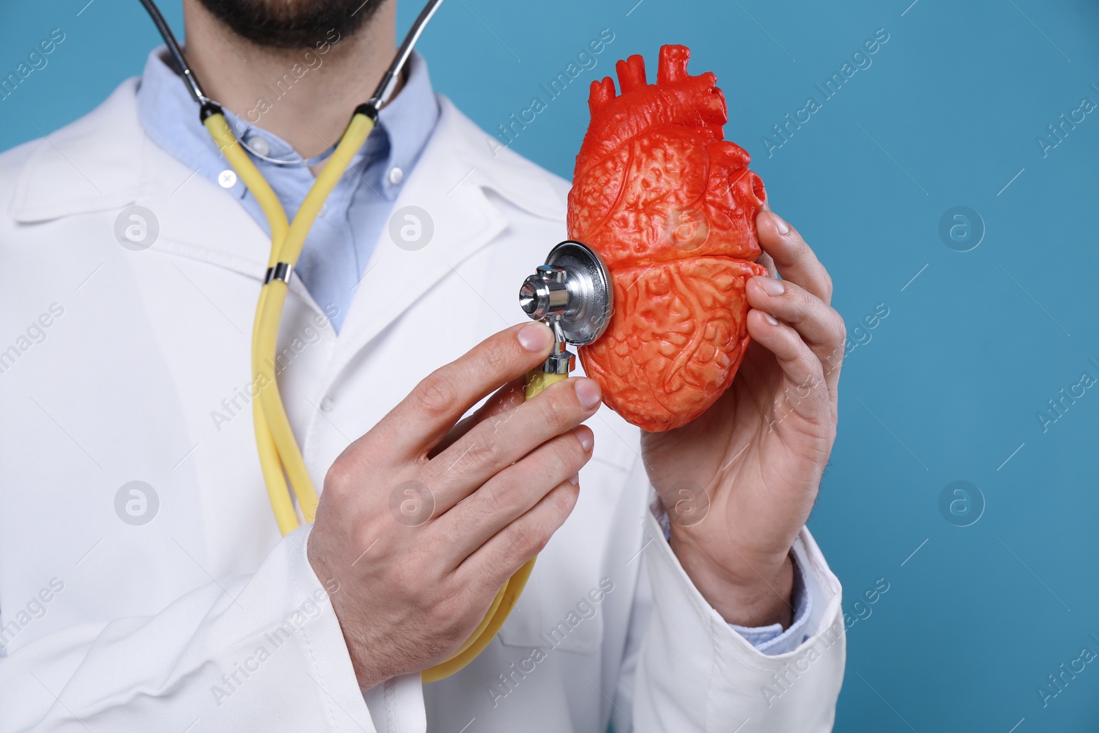 Photo of Doctor with stethoscope and model of heart on light blue background, closeup. Cardiology concept